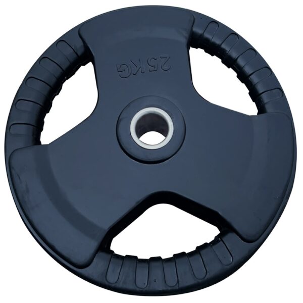 weightlifting plate 25 kg