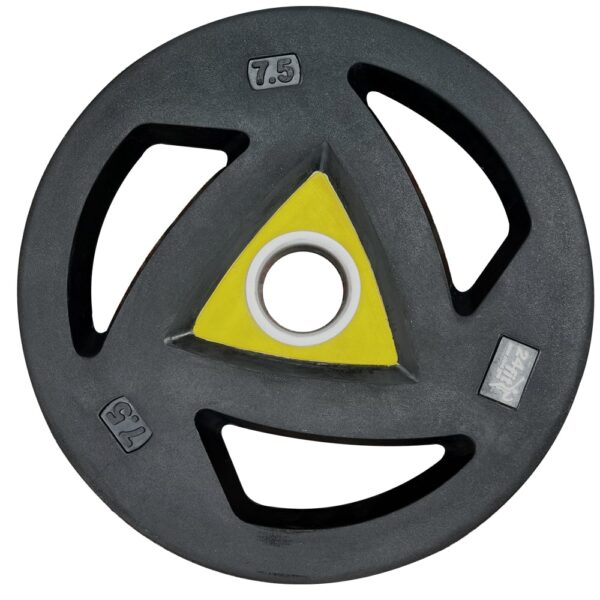 Double Colour Weight lifting Plates 7.5 KG (1 pair)